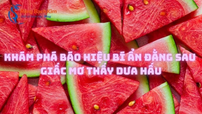 Khám phá báo hiệu bí ẩn đằng sau giấc mơ thấy dưa hấu 7 mo thay dua hau 1