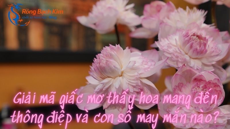 mo thay hoa 1