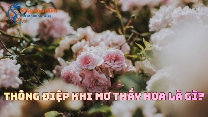 Giải mã giấc mơ thấy hoa mang đến thông điệp và con số may mắn nào? 1 mơ thấy hoa