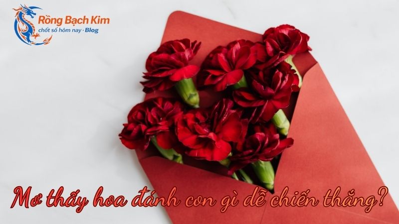 Giải mã giấc mơ thấy hoa mang đến thông điệp và con số may mắn nào? 3 mơ thấy hoa