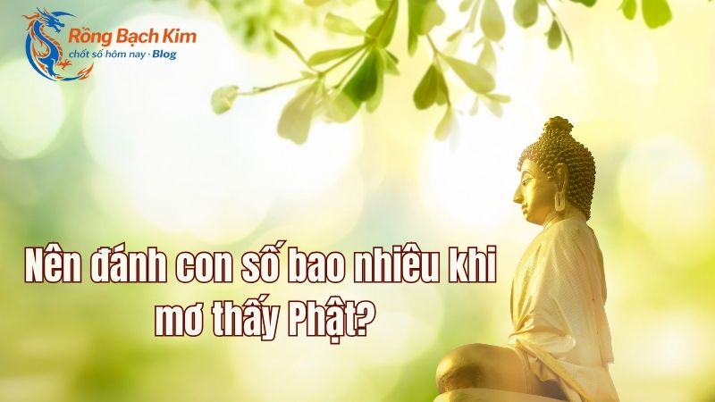 Gợi mở những ý nghĩa hấp dẫn về giấc mơ thấy Phật 3 mơ thấy phật