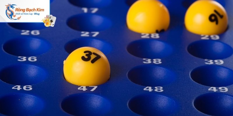 Một vài lưu ý nuôi bạch thủ lô khung 5 ngày cần biết