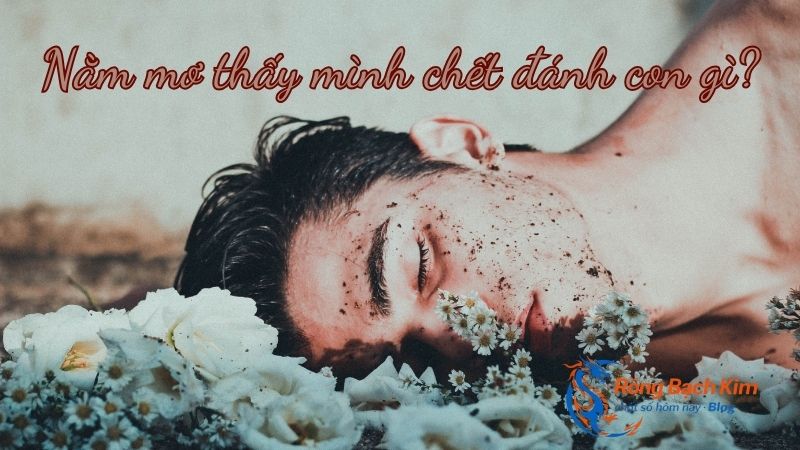 Bật mí điềm báo nằm mơ thấy mình chết một cách đầy đủ và dễ hiểu 3 nằm mơ thấy mình chết