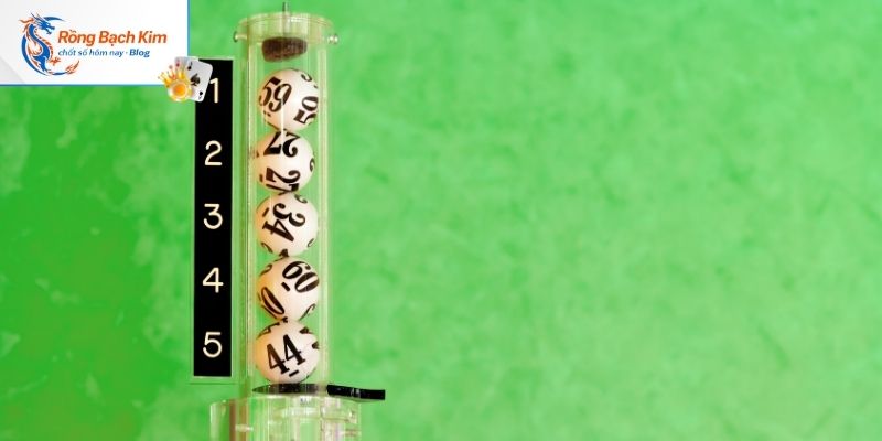 Nên giữ cho mình một tâm lý thực sự ổn định khi cá cược