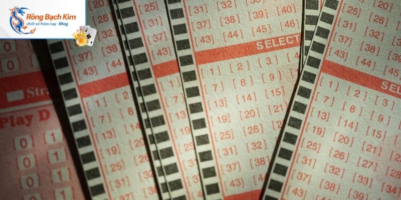 Những lý do bạn nên chọn soi cầu tại rongbachkim.blog