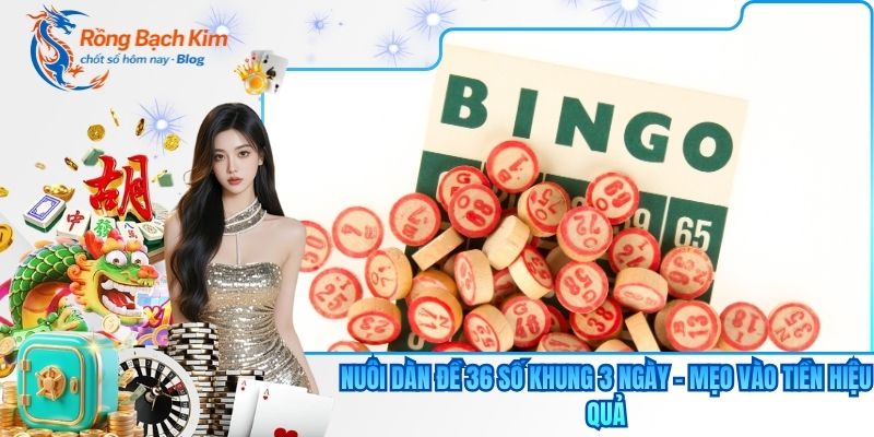 nuôi dàn đề 36 số khung 3 ngày