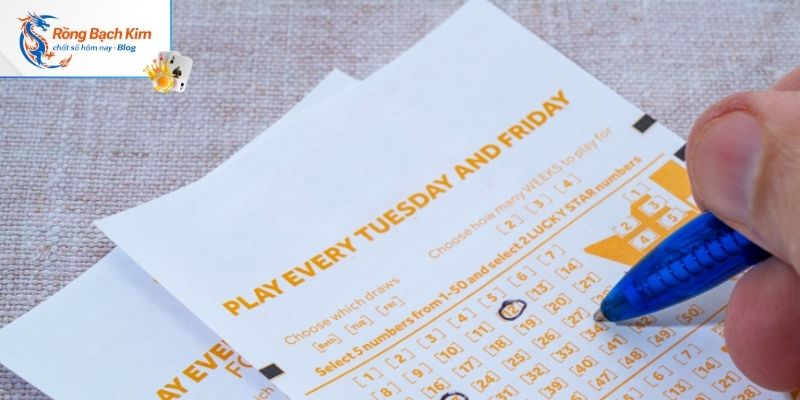 Nuôi dàn đề 50 số khung 3 ngày tỷ lệ 1:2:3 dễ chơi