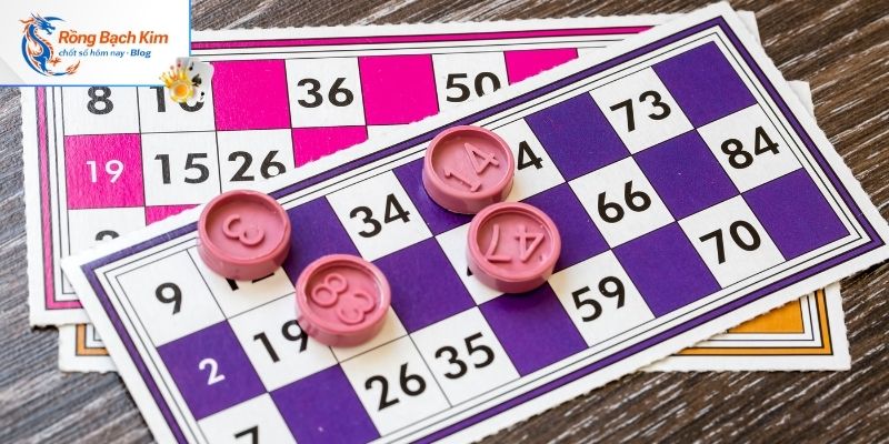 Quy trình 4 bước nuôi lô bạch thủ cực dễ