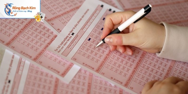 Rồng bạch kim chính xác 100 tìm được từ soi đầu đuôi