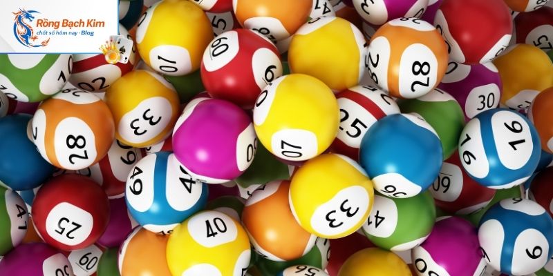 Rongbachkim.blog địa chỉ soi cầu uy tín chất lượng