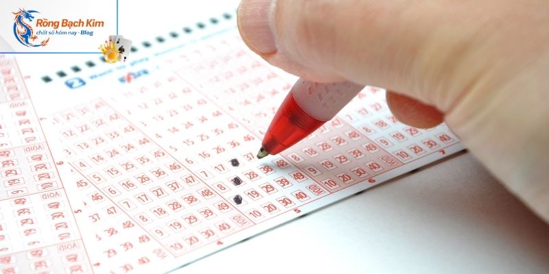 Rongbachkim.blog địa chỉ theo dõi lô đẹp miễn phí