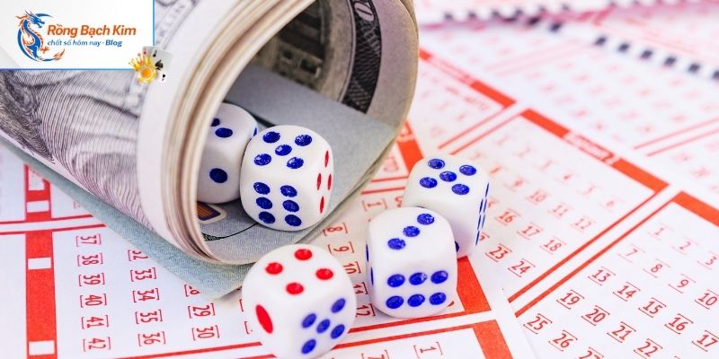 Sơ lược nuôi dàn đề 10 số khung 3 ngày