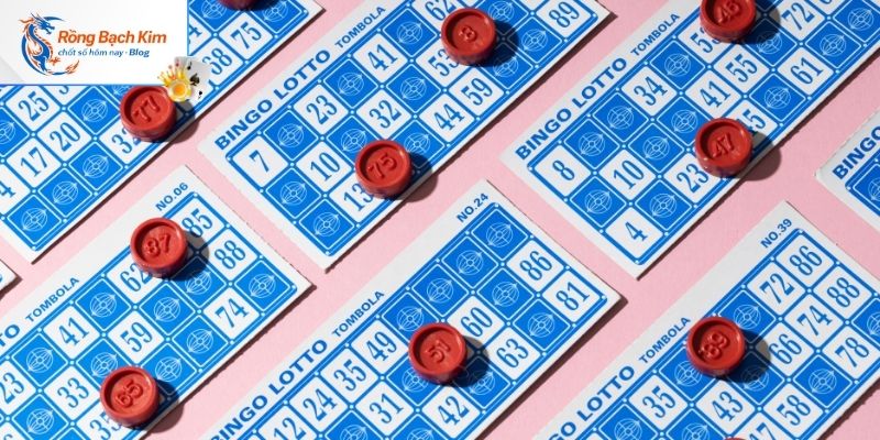 Soi cầu 888 tại rongbachkim.blog là nơi giao lưu, kết nối