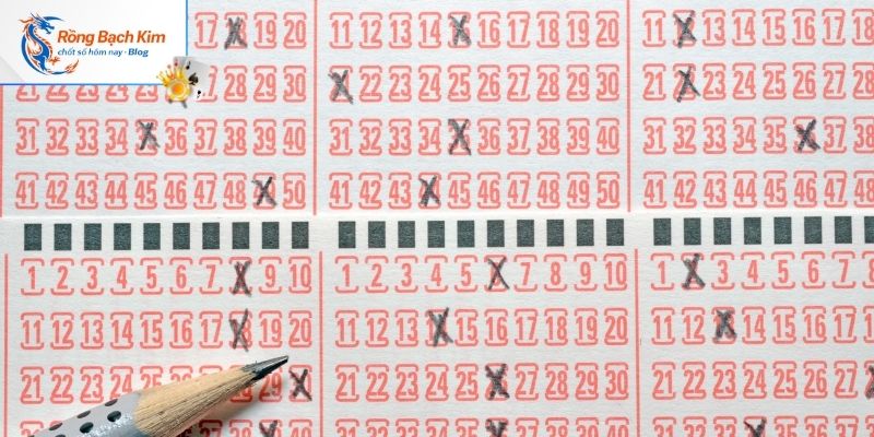 Thông tin khái quát chính xác nhất về soi cầu 247