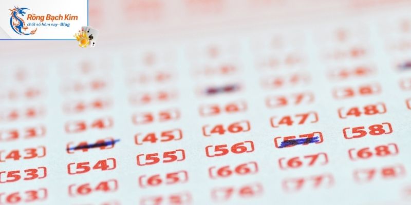 Thông tin mà hệ thống rồng bạch kim 777 thu thập