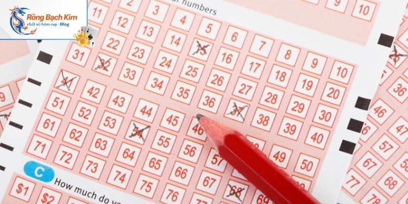 Tìm đúng link rồng bạch kim 777 đảm bảo an toàn cho khách hàng