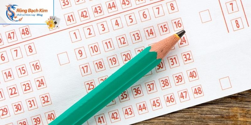 Tìm hiểu về lô kép nuôi khung 5 ngày