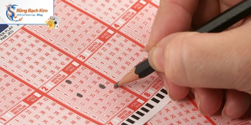 Tổng hợp bạch thủ lô kép hôm nay mới nhất từng rongbachkim.blog