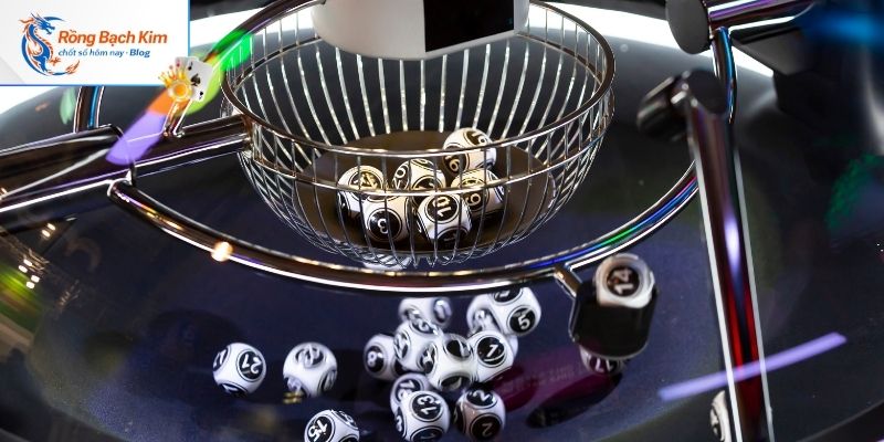 Tổng quan cách nuôi song thủ lô khung 5 ngày