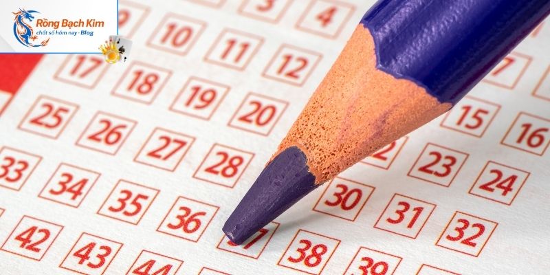 Tỷ lệ 1:3 giúp sinh lợi nhuận hấp dẫn