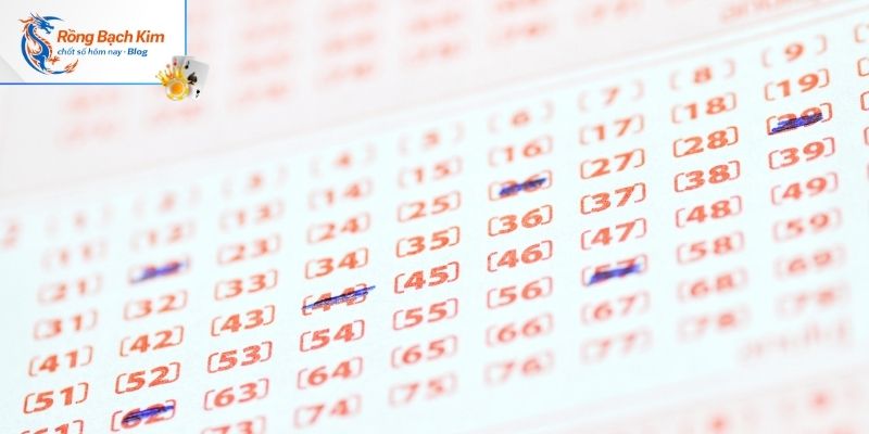 Dàn đề 50 số ? Bí Kíp Chốt Số Cực Đẹp Cực Nhanh 5 Ưu điểm duy trì chiến lược quản lý vốn dài hạn