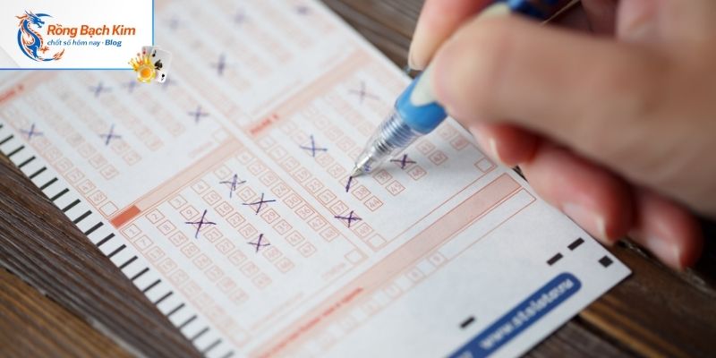 Nuôi Dàn Đề 20 Số Khung 5 Ngày Siêu Hiệu Quả 4 Ưu điểm khi khách hàng nuôi dàn đề