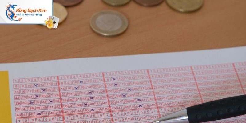 Ưu điểm khi nuôi dàn 60 số 2 ngày