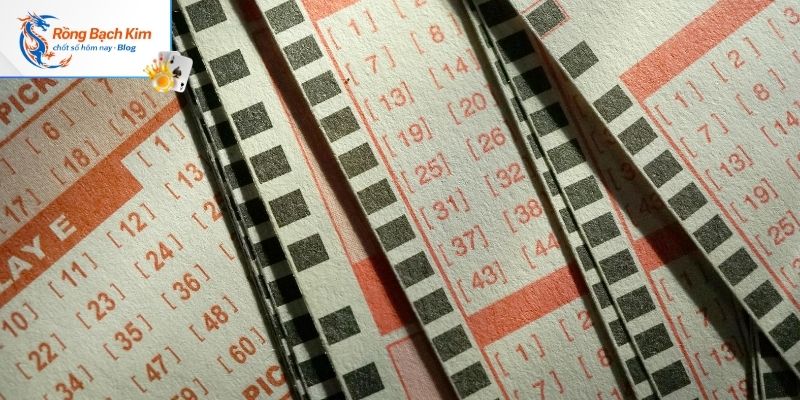 Ưu điểm thu hút thành viên của Rồng Bạch Kim 555 