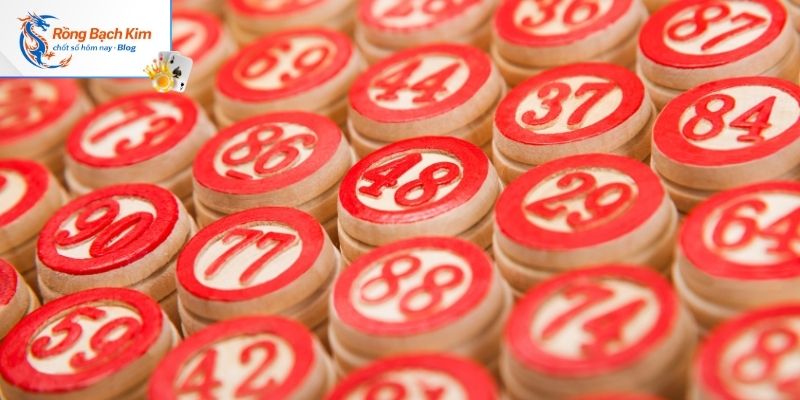 Vài nét về cách nuôi bạch thủ lô khung 3 ngày