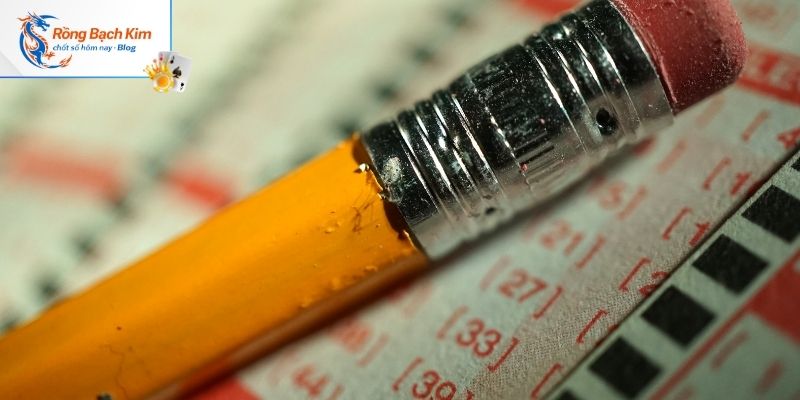 Xác định mục đích khi chơi rồng bạch kim chính xác 100