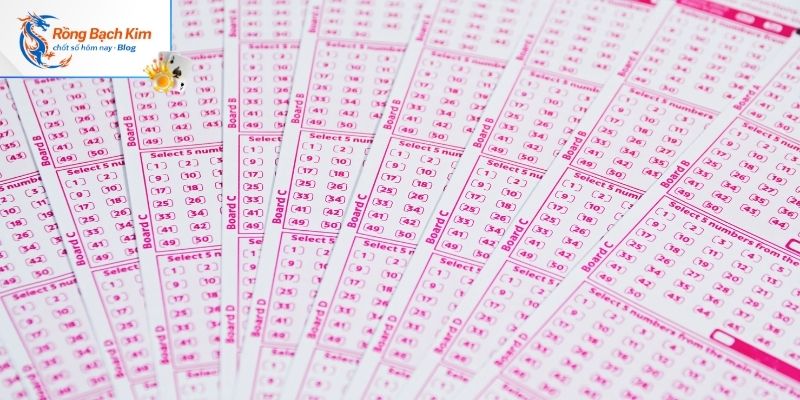 Xem các công cụ phân tích kết quả trực quan tại đây