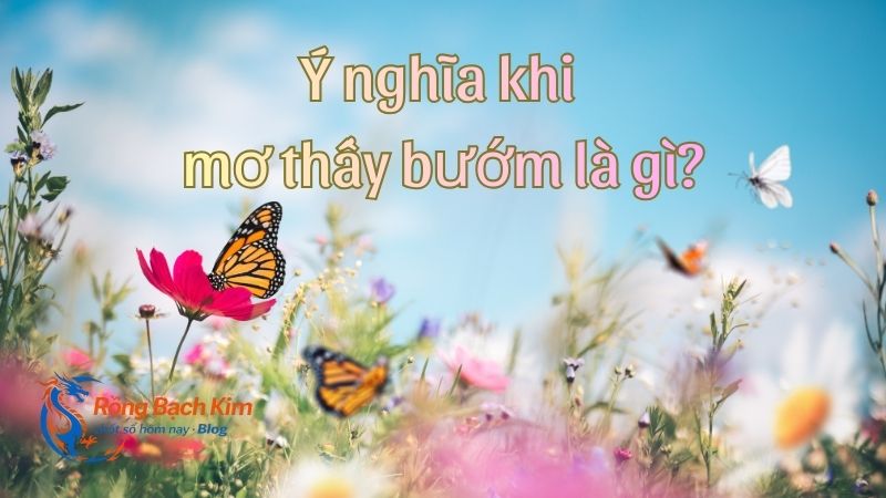 mơ thấy bướm