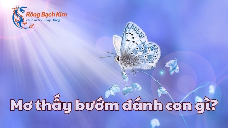 mơ thấy bướm