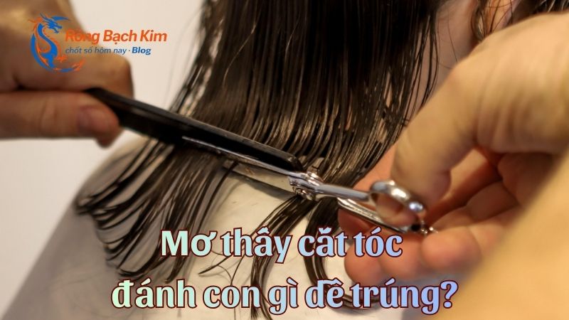 mơ thấy cắt tóc