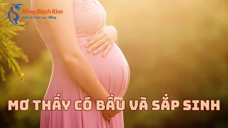 mơ thấy có bầu