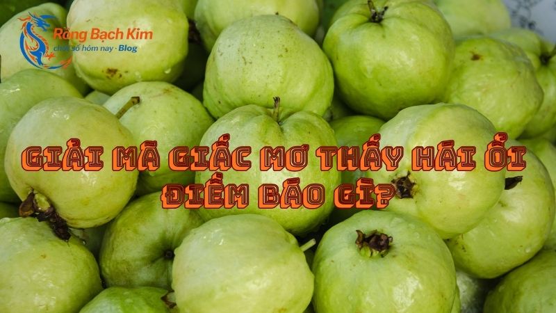 mơ thấy hái ổi