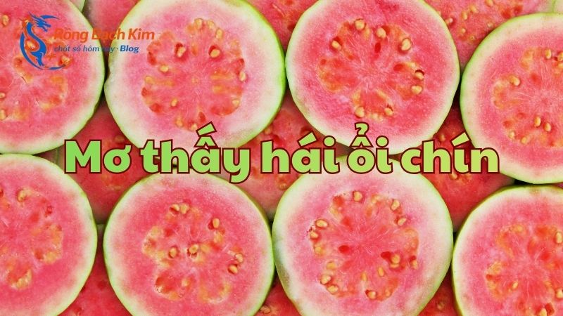 mơ thấy hái ổi