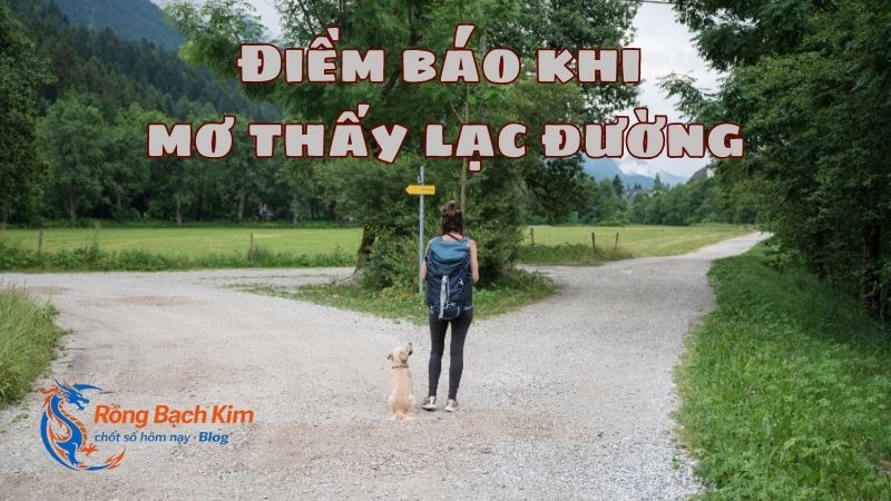 mơ thấy lạc đường