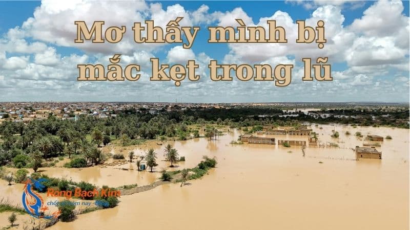 mơ thấy lũ lụt