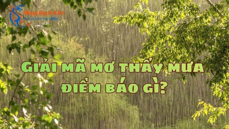 mơ thấy mưa