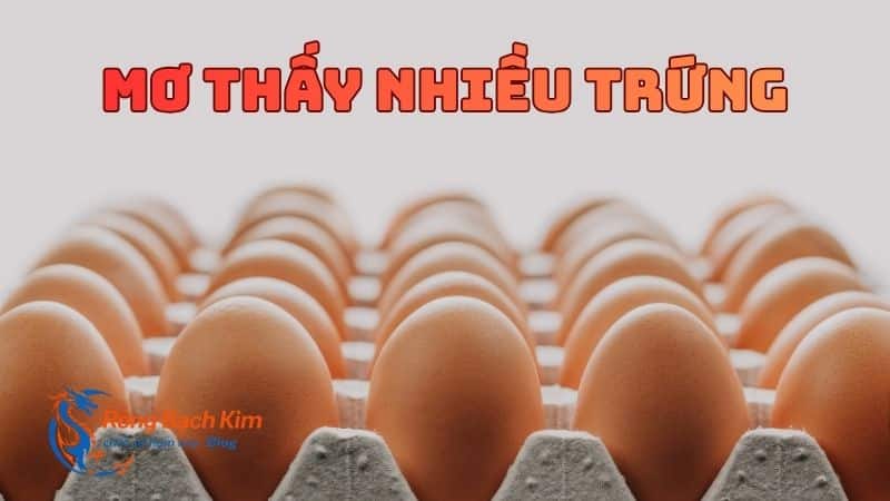 mơ thấy trứng