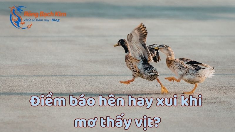 mơ thấy vịt