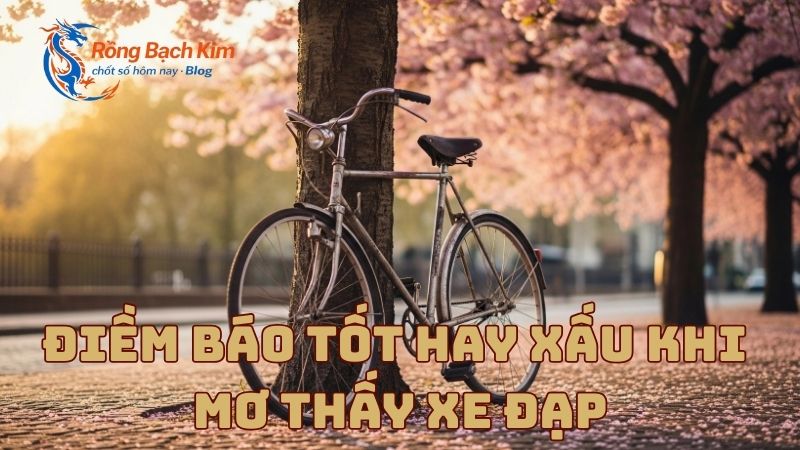 mơ thấy xe đạp