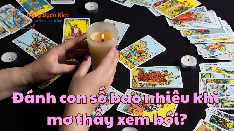mơ thấy xem bói
