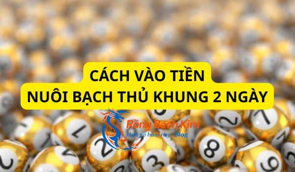 Anh em cần lên kế hoạch vào tiền trong 2 ngày nuôi khung hợp lý