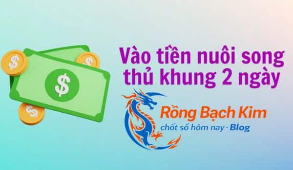 Anh em cần chắc tay hơn trong việc vào tiền khi tiến hành nuôi lô khung