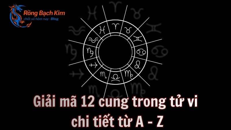 12 cung trong tu vi 1 1