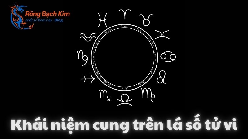 Giải mã 12 cung trong tử vi chi tiết từ A - Z 1 12 cung trong tử vi