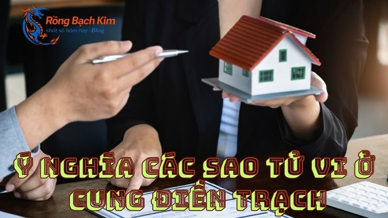 Cung Điền Trạch là gì? Tìm hiểu vận mệnh nhà đất trong tử vi 3 cung điền trạch là gì