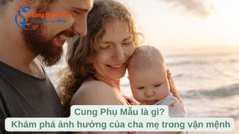 cung phu mau la gi 1